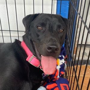 Meet your Posher, Vincent